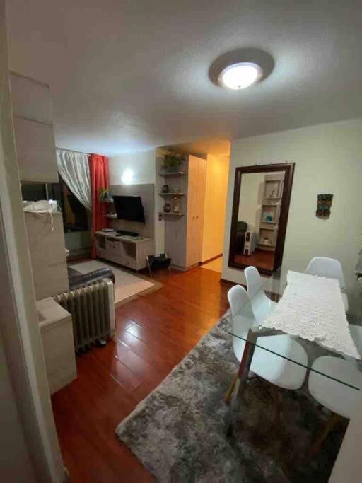 Comodo Departamento En El Centro De Stgo Appartamento Santiago del Cile Esterno foto